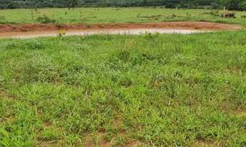 Imagem 6: Fazenda à venda em Monte Alegre de Minas