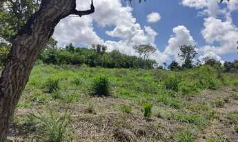 Imagem 7: Lote de 5100m 2 a venda na ponte alta norte