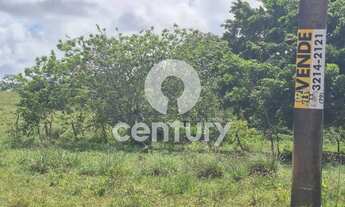 Imagem 3: Lote na Zona de expansão