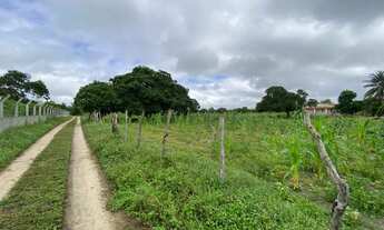 Imagem 7: Localização privilegiada pra venda excelente para fazer sua chácara ou sítio