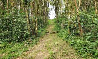 Imagem 6: Chácara à venda, 20000 m² por R$ 2.790.000 - Ferraria - Campo Largo/PR