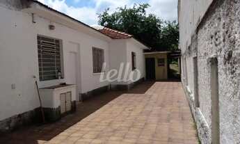 Imagem 2: Comercial/Industrial 2 quartos para alugar no(a) Tucuruvi