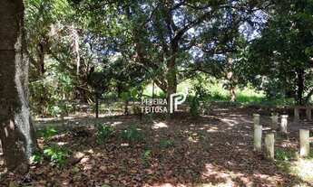 Imagem 4: Área à venda, 40000 m² por R$ 8.000.000,00 - Maiobinha - São Luís/MA