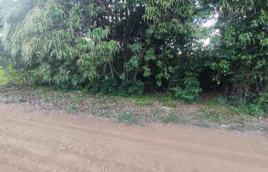 Imagem 13: /Lote em Iranduba - 1020 m2