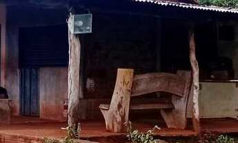 Imagem 3: Fazenda 7 alqueiros 100% formada