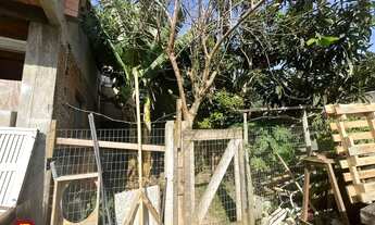 Imagem 6: Casa em Campeche