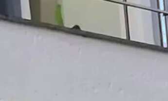 Imagem: Lindo Apartamento na Orla Norte de Porto