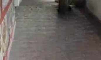 Imagem 4: COMERCIAL - CAMPO BELO - SP