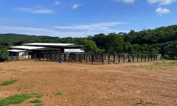 Imagem: Fazenda produtiva 116 halqueires Região