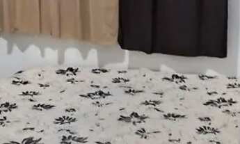 Imagem 7: Aluga-se Kit Net em vilar do teles