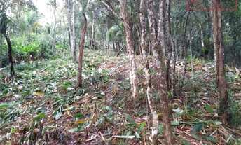 Imagem 6: Terreno à venda em Boa Vista - SP