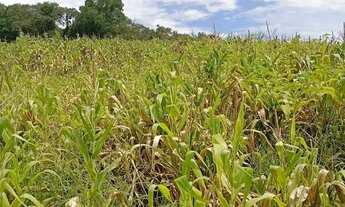 Imagem 3: Terrenos de 500 m² a 1.000 m² em Ibiúna-SP em região em valorização