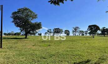 Imagem: FAZENDA PARA LOTEAMENTO