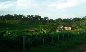 Imagem: Terra, sítio,Colônia