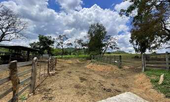 Imagem 7: 17- Sítio em ILHÉUS, 13 Hectares