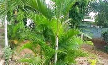 Imagem 5: Chácara Estancia Galileia