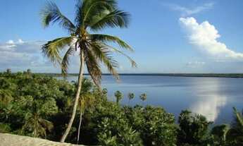 Imagem 7: Lindíssimo terreno na praia da Tatajuba