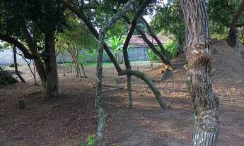 Imagem 6: Vendo Lote Pedrinhas