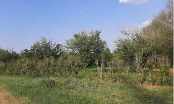 Imagem 2: Fazenda 142 Alqueires Região de Bauru - SP