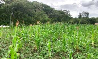 Imagem 2: Lindo baixadão de 20 mil metros (Temos varias opções)