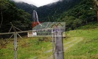 Imagem 5: Excelente sítio 37.000 m², casa com 4 dormitórios, Estrada do Salto região do Vila Nova