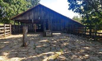 Imagem 5: Fazenda em arcerburgo 76 alqueires 8.500.000.00 ( doni