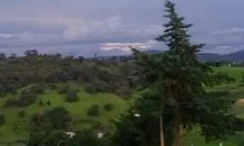 Imagem 7: Chacrinha com 715 mts