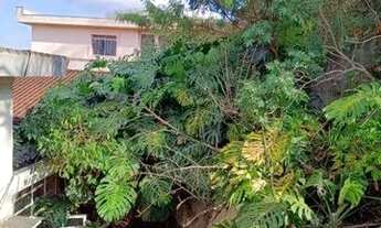 Imagem: Kitnet com 1 dormitório para alugar, 35