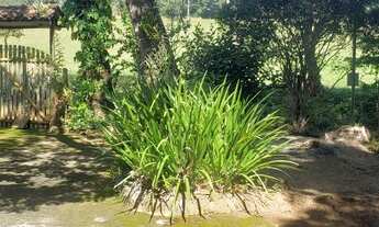 Imagem 7: Vendo Lindo sítio