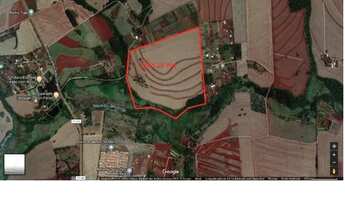 Imagem 3: Execelente área com 15 alqueires no Heimtal