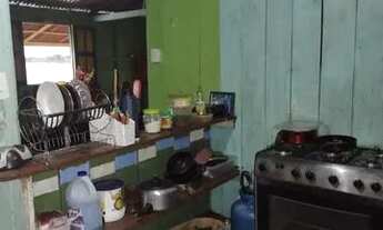 Imagem 3: Flutuante careiro da várzea