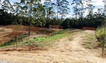 Imagem 5: Lote de 1000m2 pronto para construir