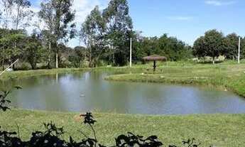 Imagem 5: Vendo Chalé dos Sonhos