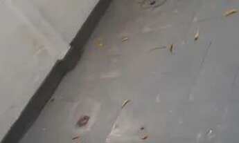 Imagem 3: Excelente Apartamento no Cachambi