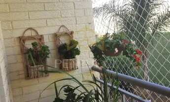 Imagem 6: Apartamento - Parque Jambeiro - Campinas