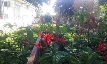 Imagem 4: Casa com amplo terreno