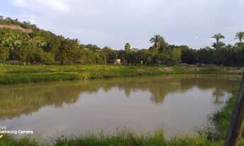 Imagem 7: Sítio 20 ha - Excelente Oportunidade - Porteira Fechada com Escritura e Registro de Imóvel