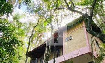 Imagem 6: ENCRAVADA NA MATA