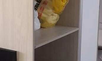 Imagem 6: ALUGO APTO 3 QTOS NO COND. FELICITÁ