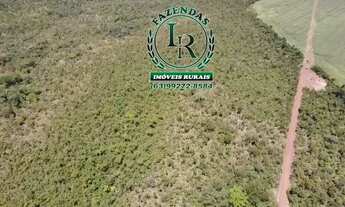 Imagem 7: Fazenda 210 Alqueires Agricultável Proximo Palmas