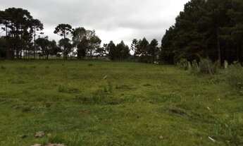 Imagem 4: Vendo ou troco Terreno / lote com venda por R$165.000