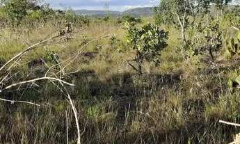 Imagem 2: CHÁCARA 20.000M² TERRA NUA - SITIOS AGROVALE - PRÓXIMO DO VALE DO AMANHECER