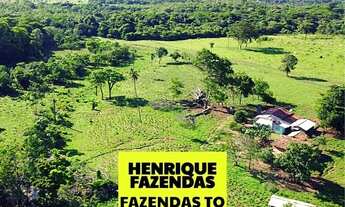 Imagem 6: Fazenda de cultura região de Palmas TAQUARALTO