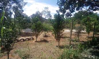 Imagem 6: Vendo Casa na Zona Rural à 10km do Paranoá