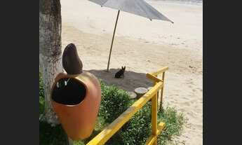 Imagem 7: O paraíso a sua espera.A melhor praia de todo Nordeste