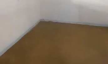 Imagem 2: Alugo barraco de fundos com garagem