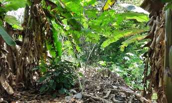 Imagem 7: Chácara próxima ao Ministério Publico Estadual no Barro Duro