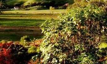 Imagem: Sítio sul de minas. 85.000/Documentos OK