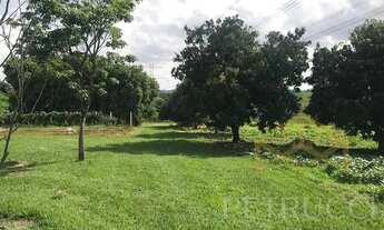 Imagem 4: área - Área 1 - Artur Nogueira