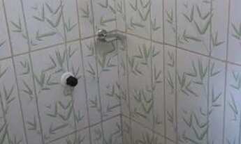 Imagem 5: Kitnet no Nova Cidade